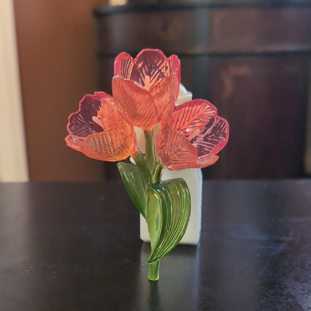 Tulips Wallflower